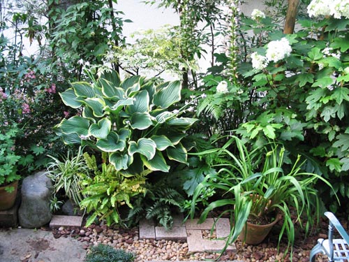 garden612
