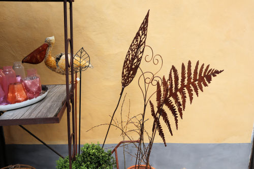 fern618ms