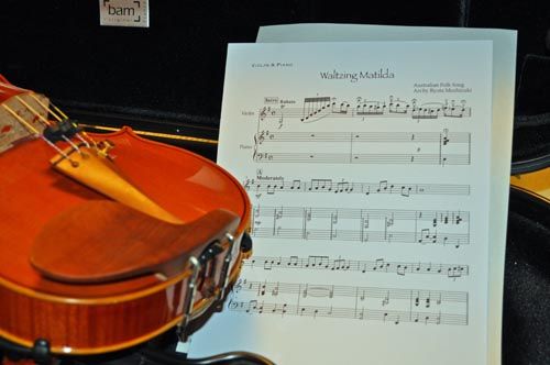 violin1022_ms