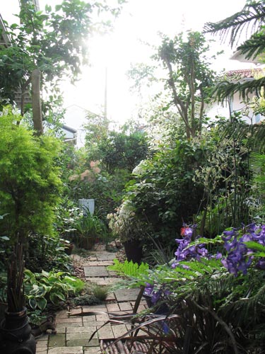 garden619b
