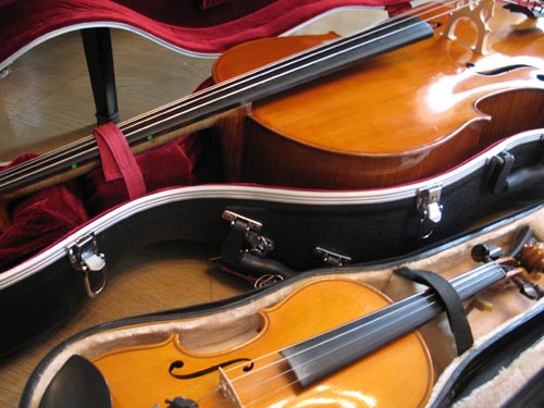 cello827_ms