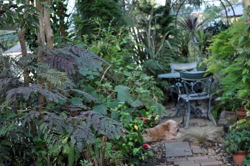 garden1006b_ms