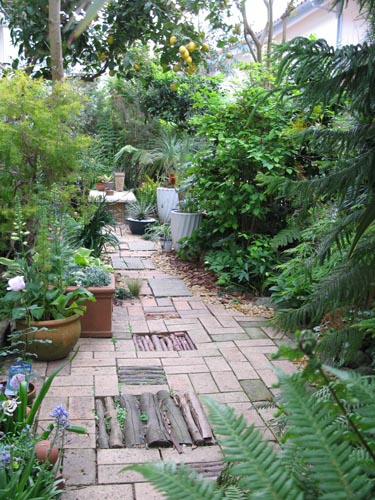 garden503c