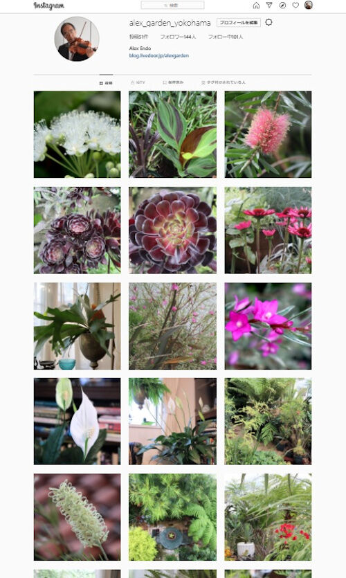 インスタも始めました Alex S Garden Party