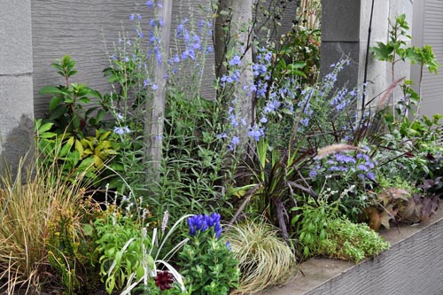 flowerbed926_ma