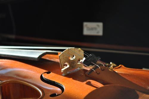 violin1010_ms