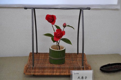 ookarako313_ms