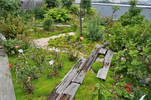 ootagarden622_ms