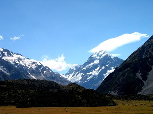 mtcook1_ms