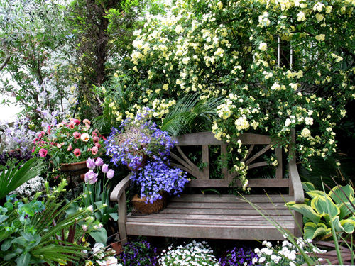 モッコウバラの思い出 Alex S Garden Party モッコウバラの思い出 Alex S Garden Party