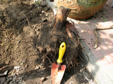 root730