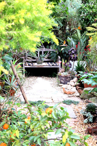 garden315ms