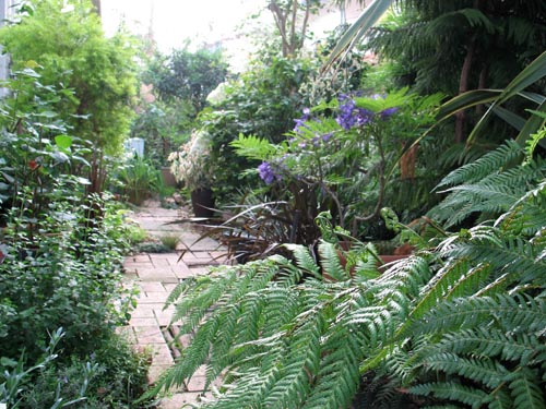 garden619c