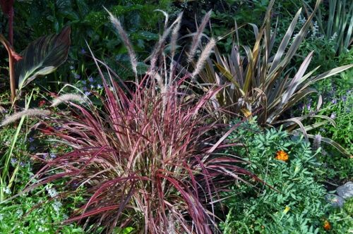 fireworkbig802 (500x332)