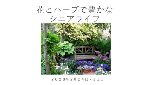 スライド1.JmsPG