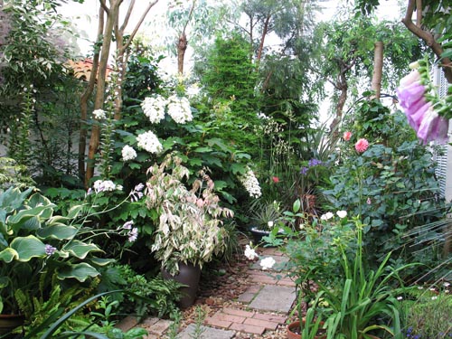 garden619a