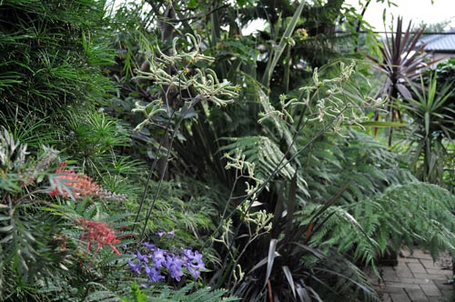garden704_ms