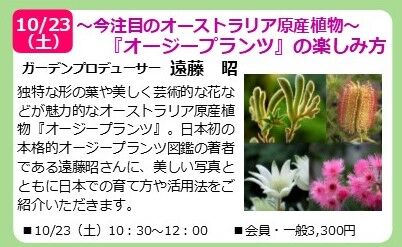 オージープランツ