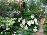 garden624c