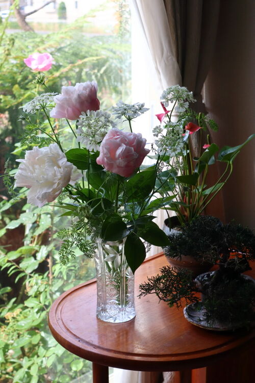 ピオニーは切り花で楽しもう Alex S Garden Party