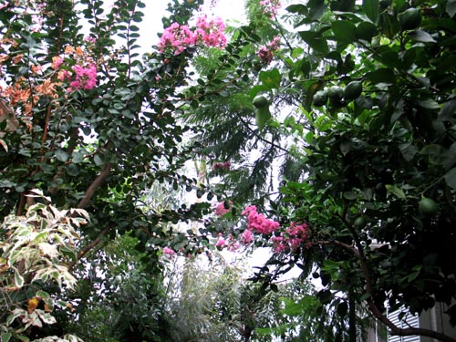 garden830