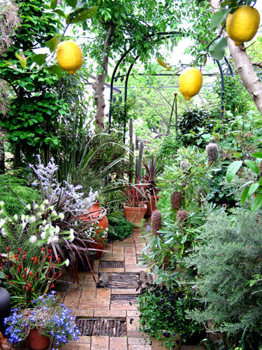 平成男庭日記総集編・・・様々な庭風景 : Alex's Garden Party♪
