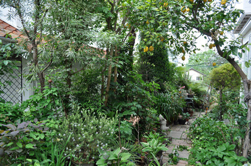 garden510_ms
