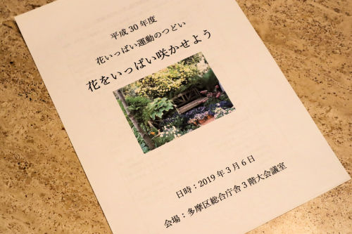 hanaippai306ms