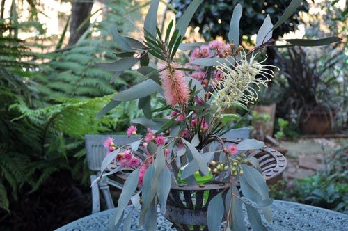 ausythree1210_ms