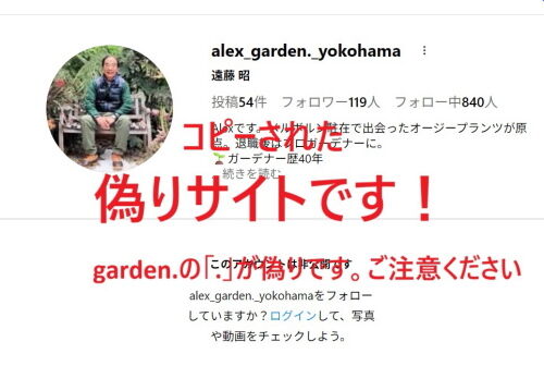 偽りサイト1219ms