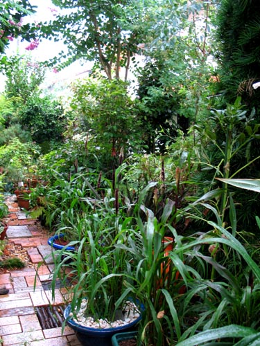 garden831