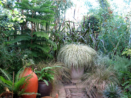 2006