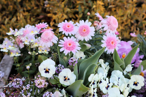 boxflower317ms