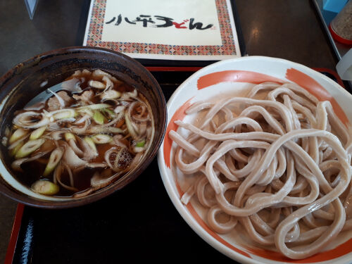 kodairaudon1125ms