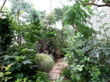 garden730