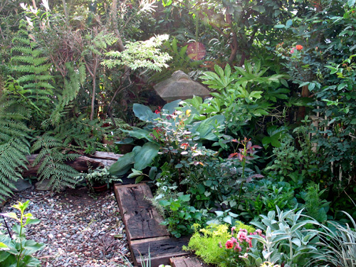 園芸ガイド 自主連動企画vol 11 羊歯の魅力 Alex S Garden Party