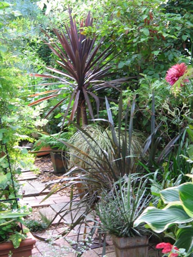 garden815c