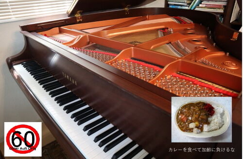 加齢なるms