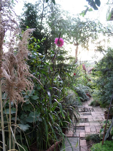 gardenwset1004