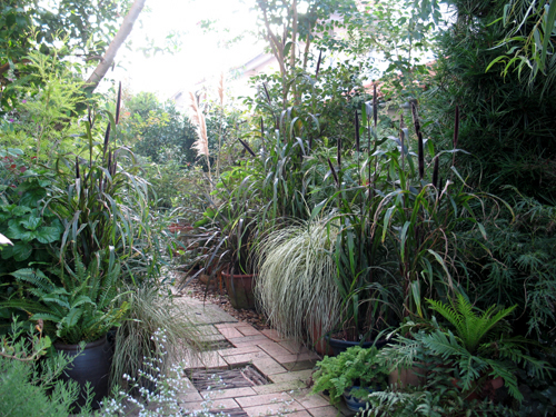 2005a