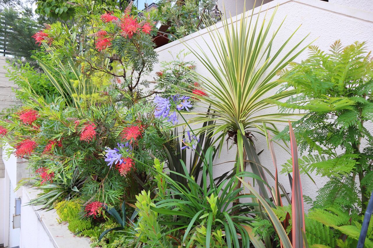 Alexgardenfront