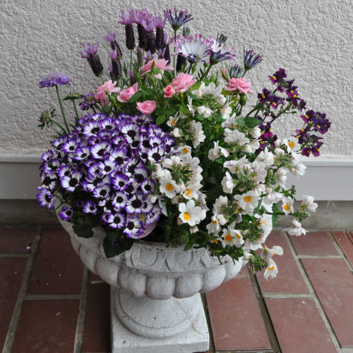 image012