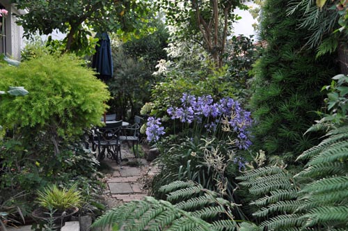 garden709b_ms