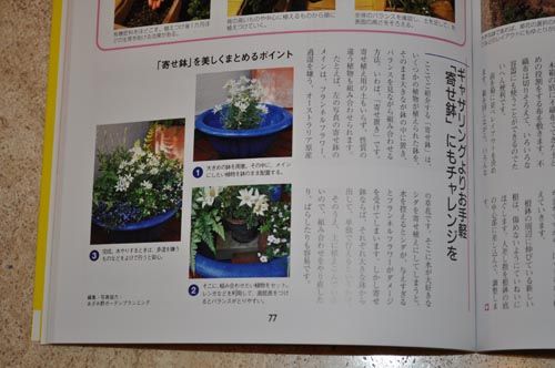 yosehachi1209_ms