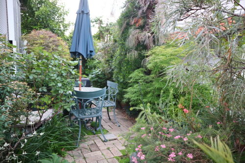garden504cms
