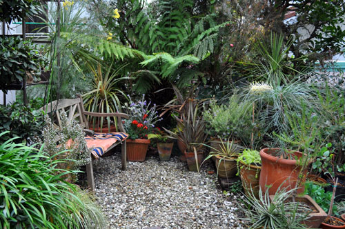 garden404_ms