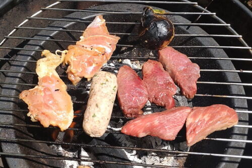 bbq502ms