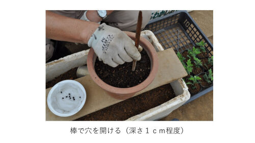 スライド4ms
