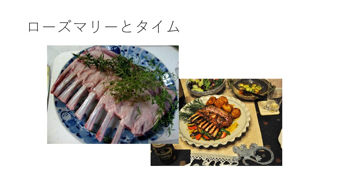 スライド5