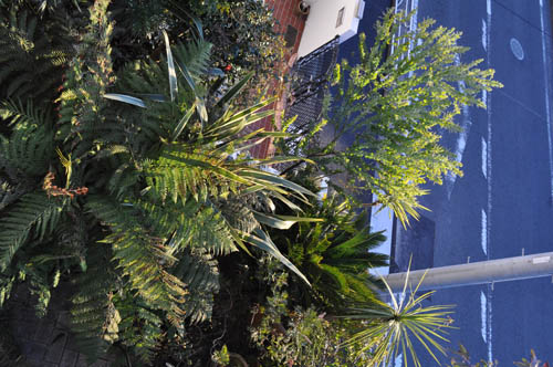 tropical203_ms